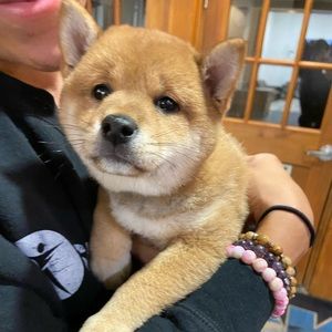 Meet your Posher, Jeff